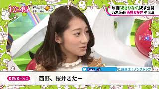 乃木坂46 桜井玲香 西野七瀬 バナナマン設楽統 ノンストップに出演っ!!! 【ノンストップ！】2017.09.21