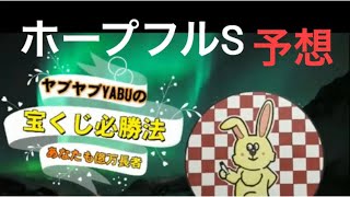 最後のロト7 当てる❣️中山競馬🏇ホープフルS 橋本マナミちゃんに乗れ❣️皆様の幸運を祈ります❣️