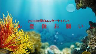 【菜乃花】？？？『菜乃花、、、お前と戦いたかった』