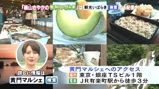 磯山さやか : 旬刊！いばらき・黄門マルシェ (201107)
