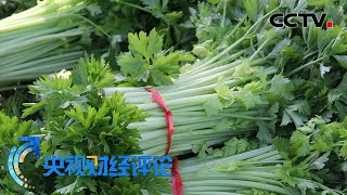 高原夏菜 差异化发展出高招 「央视财经评论」20220712 | CCTV财经