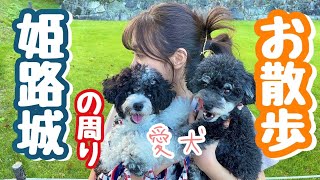 【お散歩】愛犬と姫路城