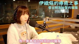 伊織萌的療癒之事 發出特別叫聲的貓貓【伊織萌直播精華】【伊織もえ切り抜き】