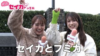 馬場ふみか参戦！セイカと同世代トークに花が！【セイカの裏側63】