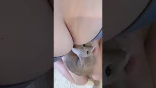 授乳ねこ#清水あいり＃授乳