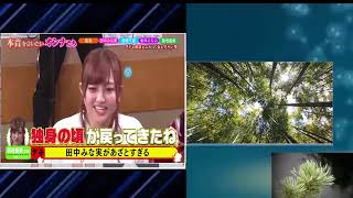 【ダウンタウンなう】田中みな実、夏菜若槻千夏、菊地亜美峯岸みなみ。新企画「本音を言いたいオンナたち」“飲み仲間”女性芸能人の本音が爆発！PART 2 2