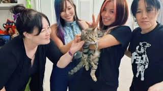 「日本じゃ見れない顔ぶれ」白川未奈、団体の枠を超えたスーパースター4ショット披露にファン歓喜「みんなアメリカの地で頑張ってるんですね! 」の声