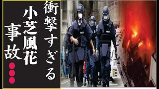 橋本マナミの「3日遅ければ死んでいた」と医者に言われた原因不明の高熱…橋本マナミの多重整形による顔面崩壊や不倫相手から3度刺されて重傷を負った事件に驚きを隠せない…