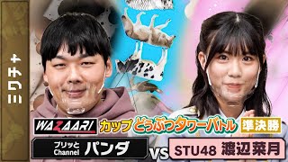 STU48 渡辺菜月 VS プリッとChannel パンダ【どうぶつタワーバトル】