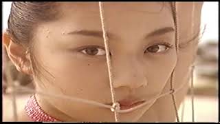 イエローキャブ5人娘12 小池栄子、佐藤江梨子、川村亜紀、坂井優美、松岡由貴