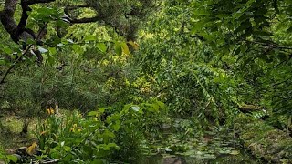 菜乃花❀🐱ほんわかあったか日和