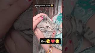 #youtube #love #youtubeshorts #song #love #song #newharyanvisong meri miyu ❤️💞💗🤟😘😍