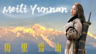 中国で最も過小評価されている山を発見【中国 Ep29 -雲南4】シャングリラワイナリープーアル茶メイリ雪山シャングリラ赤ワイン