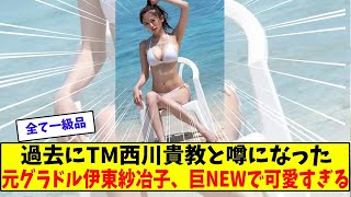 過去にTM西川貴教と噂になった元グラドル伊東紗冶子、巨乳で可愛すぎる【美女に関する全ての反応集】