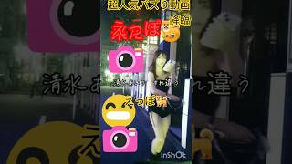 清水あいりすれ違う🐕🐕🐕　20万動画　ユーチューブに戦線布告　ブレキン超え　清水あいりにひれ伏せ！　えっぽ🐕　 #大久保公園 #海外チャレンジ 　