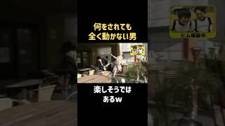 おもろすぎて腹ちぎれるw #中村静香 #バナナマン #日村勇紀 #shorts