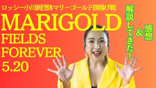 ＜ロッシー小川新団体＞マリーゴールド旗揚げ戦の解説してきた！！！